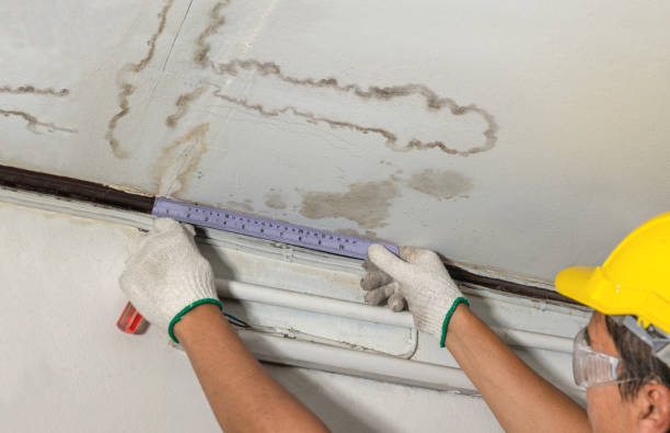 24/7 Emergency Water Damage Inspection experts in Lisle, IL