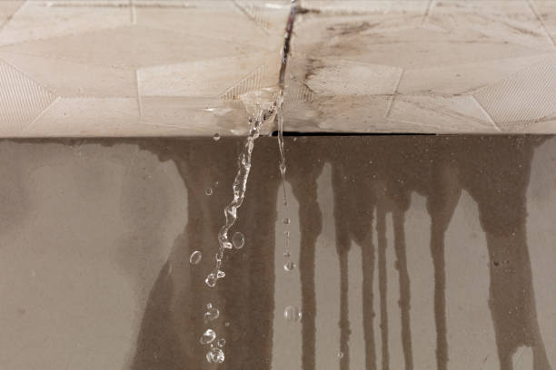 Professional Water Damage Inspection technician working in Lisle, IL